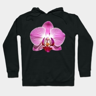 Pink Orchid Flower Art Print Hoodie